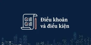Điều khoản điều kiện và những thông tin khái quát 