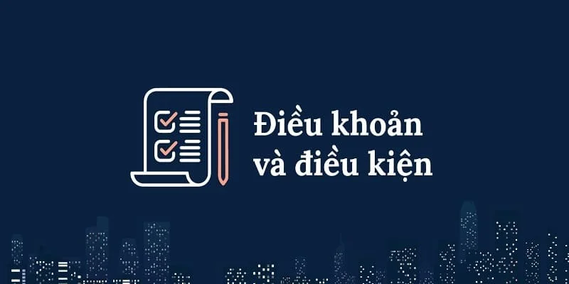 Điều khoản điều kiện và những thông tin khái quát 